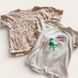 Nordstrom Toddler Boy T-shirt Bundle Open Edit Harper Canyon